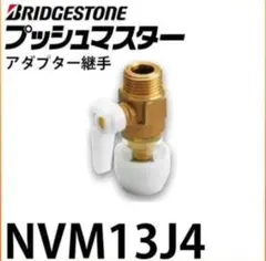 Item thumbnail for item b8f1127c-0cd9-4ccc-a79a-eb69a595b1f9