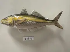 木彫りのお魚「アカゼ」マグネットタイプ