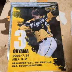 阪神タイガース　大山悠輔　クリアファイル