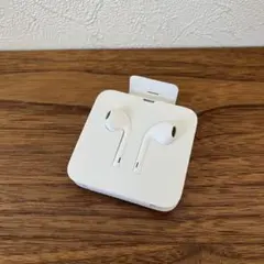 未使用 iPhone 純正イヤホン ライトニング Apple Lightning