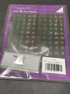 Item thumbnail for item 550d5902-cb19-47b4-b8dc-18b2c253d94e