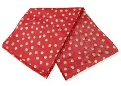 Item thumbnail for item fbe7e4c0-6186-4815-a916-e3bbb8e441c9