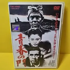 新品ケース交換済み　青春の門 DVD