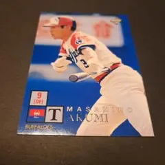 Item thumbnail for item 282b7955-cca2-4e33-8f04-eba2696a298b