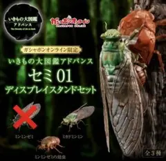 いきもの大図鑑アドバンス　セミ01　ディスプレイスタンドセット　新品未開封