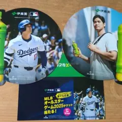 伊藤園 おーいお茶 大谷翔平 3点セット