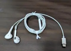 Apple 純正 iPhone Earpods イヤホン ライトニング 有線