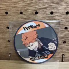 ハイキュー‼︎ 日向翔陽