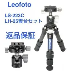 Item thumbnail for item 8bf0a647-30d9-4695-aa1c-80e3ed4a6003