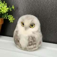 Item thumbnail for item 8ad7bd42-75dc-4337-a01b-c5a6f9975f45