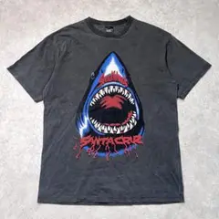 【美品】サンタクルーズ santacruz シャーク フェードカラー TシャツL