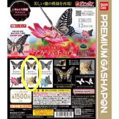 いきもの大図鑑　アゲハチョウ　キアゲハ バンダイ　BANDAIPREMIUM