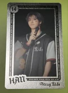 straykidsエコパスタジアム 事後販売　ハン