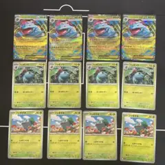 ポケモンカード　メガフシギバナex rr 進化ライン12枚セット