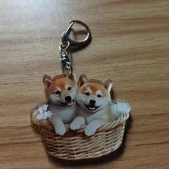 新品未使用の可愛い柴犬 バスケット キーホルダー