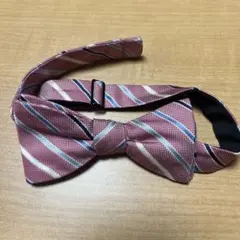 Item thumbnail for item 2b26fb66-578c-456f-968e-18cd50d0b638