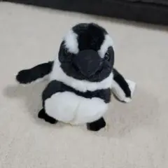京都水族館　ペンギン　ぬいぐるみ