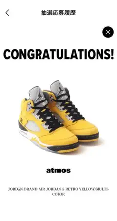 Nike Air Jordan 5 Retro "Tokyo 23"