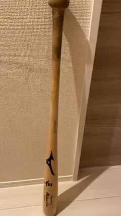 ミズノプロ ロイヤルエクストラ 硬式用 早い者勝ち