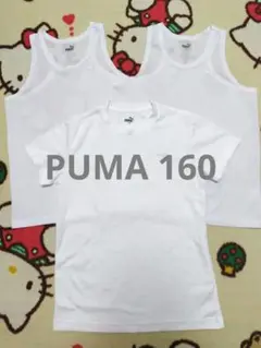 PUMA 160サイズ　白 ホワイト タンクトップとTシャツ 3枚セット