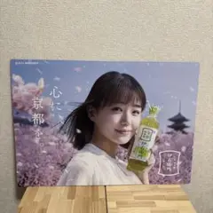 【奈緒】サントリー 伊右衛門 新茶 濃茶 販促ボード 非売品③ 奈緒】サントリー 伊右衛門 新茶 濃茶 販促ボード 非売品③