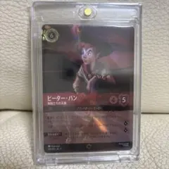 【美品】ピーター・パン　エンチャンテッド　ロルカナ　ディズニー