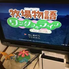 牧場物語 ワンダフルライフ for ガール 起動確認済み　ゲームキューブ