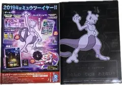 2019ミュウツーイヤーキャンペーン 限定 非売品 ポケモン クリアファイル