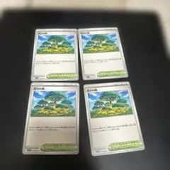 ポケモンカード 活力の森 4枚セット