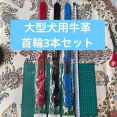 牛革 大型犬用（40-49cm）首輪3本セット