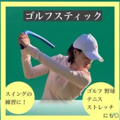 ゴルフスティック スイング練習 ドライバー アイアン ゴルフ 室内 器具 ブルー