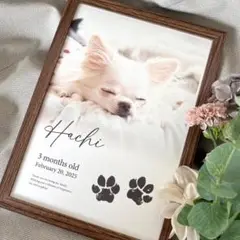 Item thumbnail for item 83d27abc-5da8-4025-a9d7-221922d632bc