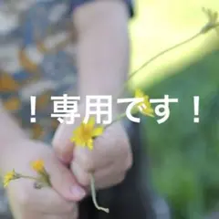 専用です！sonセトア