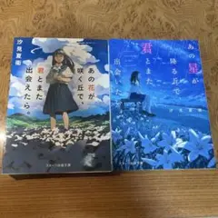 あの星が降る丘で、君とまた出会いたい。 あの花が咲く丘で、君とまた出会えたら。