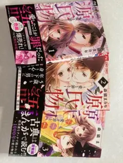 源氏物語 ～愛と罪と～ 全巻セット 1-3巻