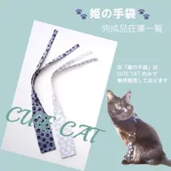 Item thumbnail for item 7fe9e8d3-9565-4300-8f96-ca1e6b01f677