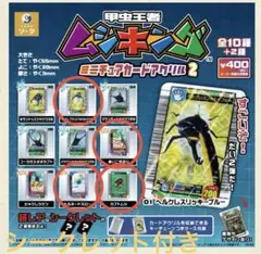 甲虫王者ムシキング ミニチュアカードアクリル2 5種