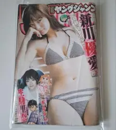 【希少】週刊ヤングジャンプ 新川優愛