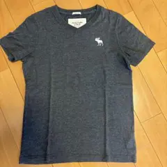 Abercrombie & Fitch Tシャツ M
