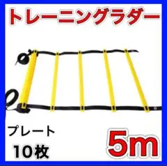 トレーニング ラダー 5m 10枚 サッカー 陸上 フィットネス