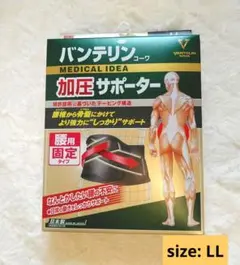 Item thumbnail for item 12117d3a-0e54-4de8-85cf-0e9cf8da461b