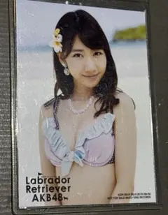 Item thumbnail for item b270da3a-f475-4557-b573-5e3506fbc5f7