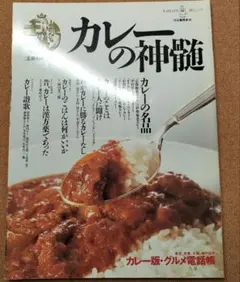 カレーの神髄