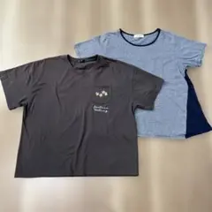 レディース3L 半袖Tシャツ 2枚セット　ボーダー　 茶色