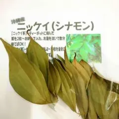 Item thumbnail for item 8b4b567b-f22a-4196-841d-c26f741c69ad