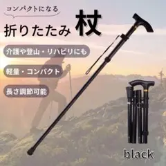Item thumbnail for item a38fc132-f84c-4463-89c8-d590a182f3ee