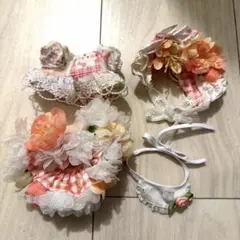 Item thumbnail for item 1e390658-6ab4-41a1-b477-0c761a77f387