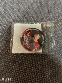福岡ソフトバンクホークス 牧原大成選手 缶バッジ