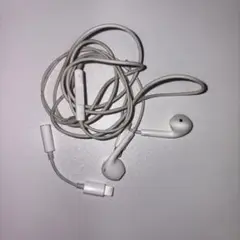 Apple 純正コード まとめ売り