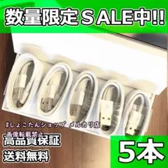 ipad pro じゅうでんき 純正 対応 正規品 同等 5本